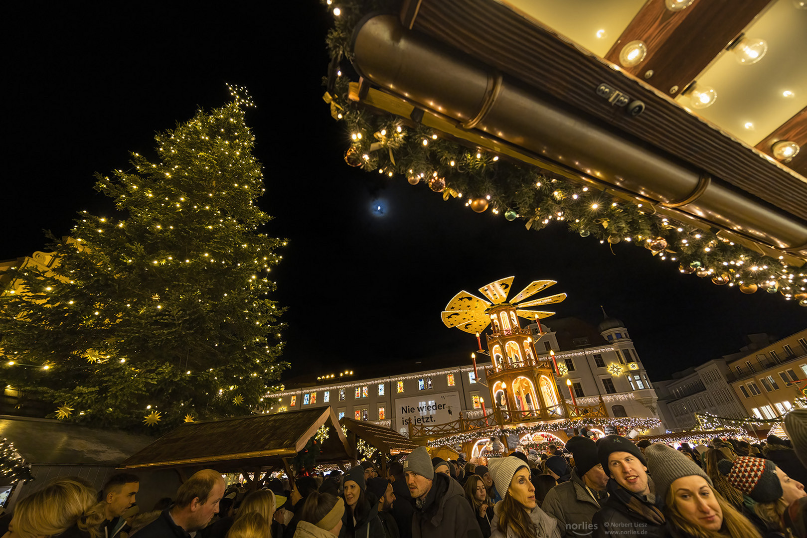 Weihnachtsbaum und Mond