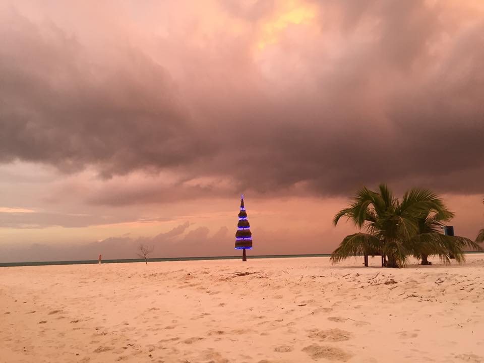 Weihnachtsbaum unter Gewitterwolken