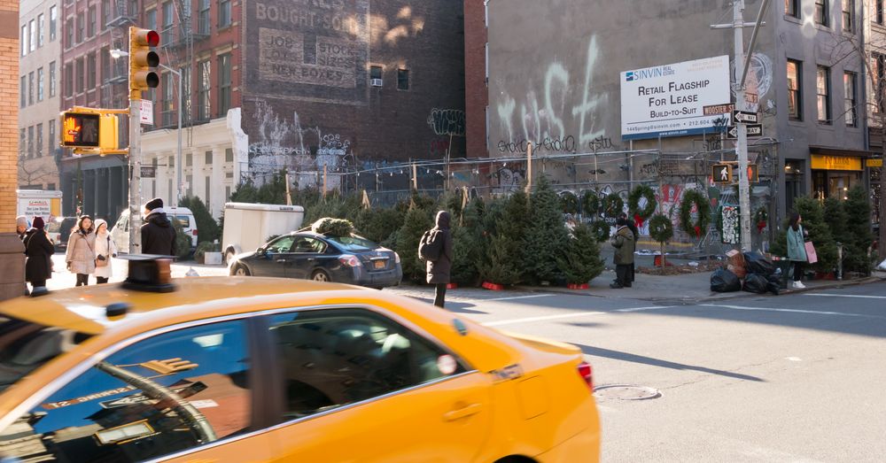 Weihnachtsbaum Verkauf in Manhattan