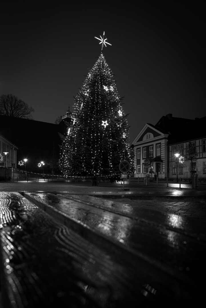 Weihnachtsbaum von Schönberg