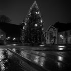 Weihnachtsbaum von Schönberg