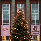 weihnachtsbaum vor dem grillo-theater