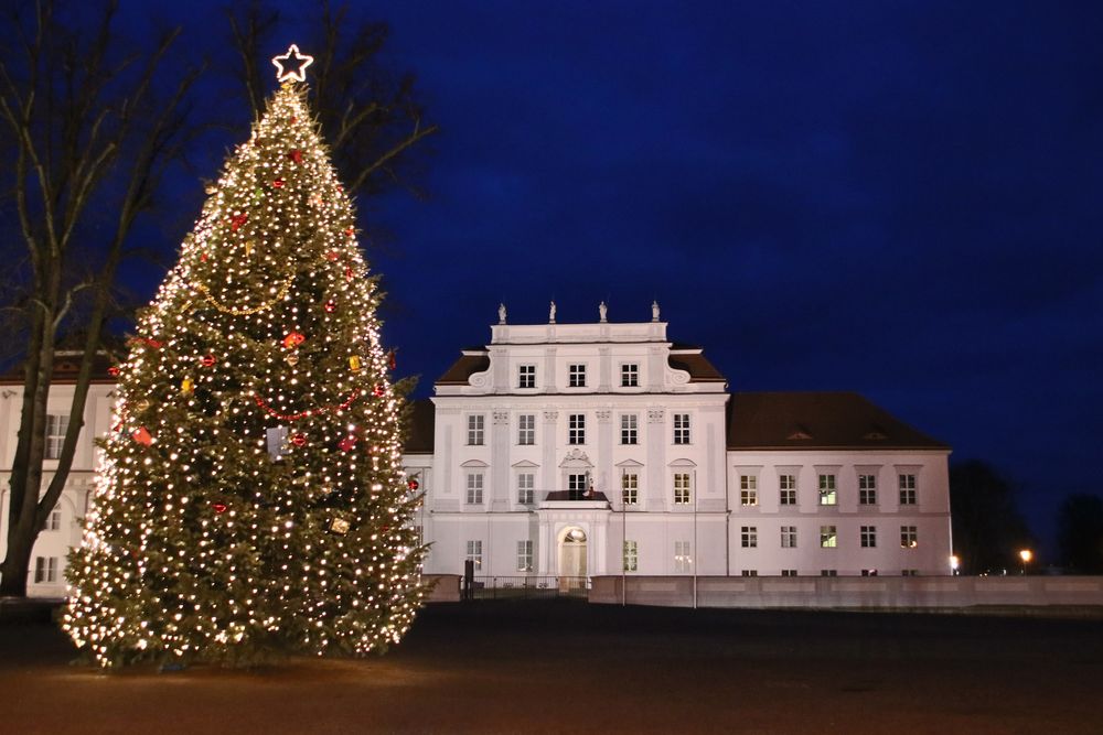 Weihnachtsbaum vor dem Schloss Oranienburg