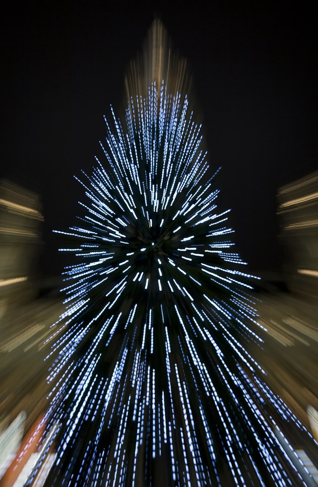 Weihnachtsbaum vor Wiener Rathaus