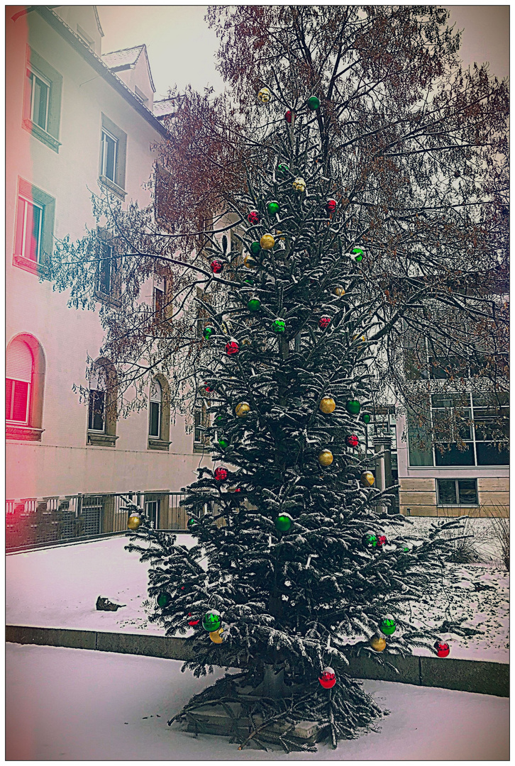 Weihnachtsbaum vorm Krankenhaus