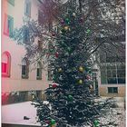 Weihnachtsbaum vorm Krankenhaus