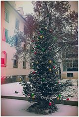 Weihnachtsbaum vorm Krankenhaus