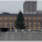 WEIHNACHTSBAUM - WELTENBAUM - LEBENSBAUM