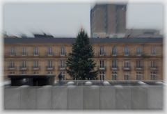 WEIHNACHTSBAUM - WELTENBAUM - LEBENSBAUM