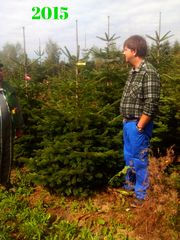 Weihnachtsbaum-Zentrale: Plantagen-Besichtigung