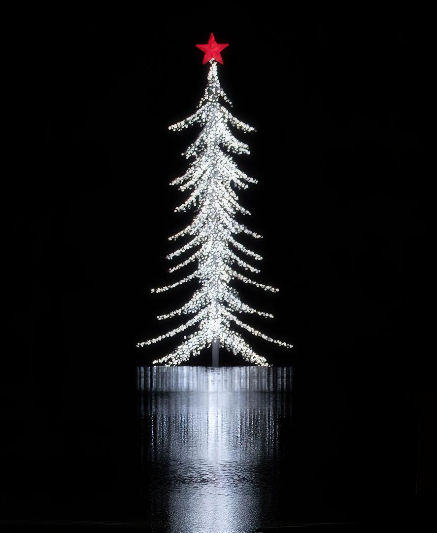 Weihnachtsbaum151223