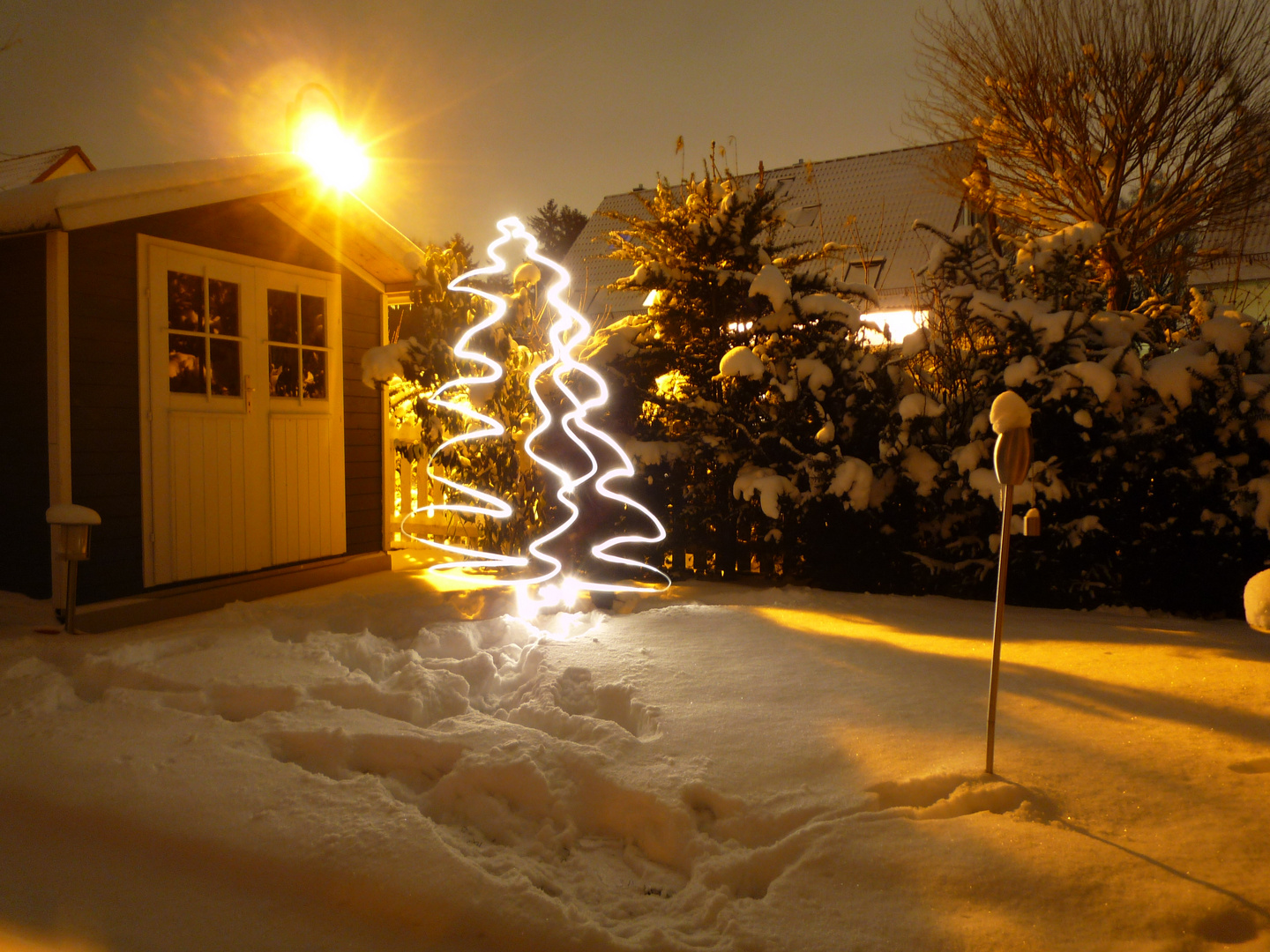 Weihnachtsbaum...oder?