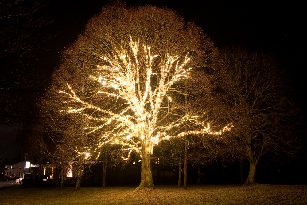 Weihnachtsbeleuchtung Foto & Bild jahreszeiten, winter