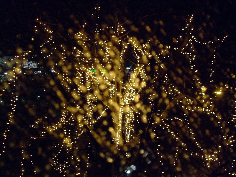 Weihnachtsbeleuchtung (durch ein regennasses Fenster)