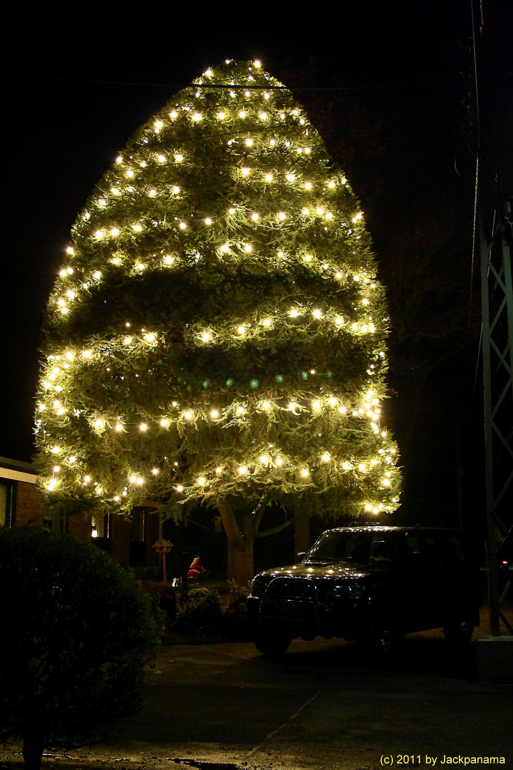 Weihnachtsbeleuchtung mit 500 Glühbirnen am Lippweg in Kirchhellen