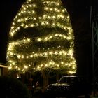 Weihnachtsbeleuchtung mit 500 Glühbirnen am Lippweg in Kirchhellen