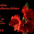 Weihnachtsblume 2012