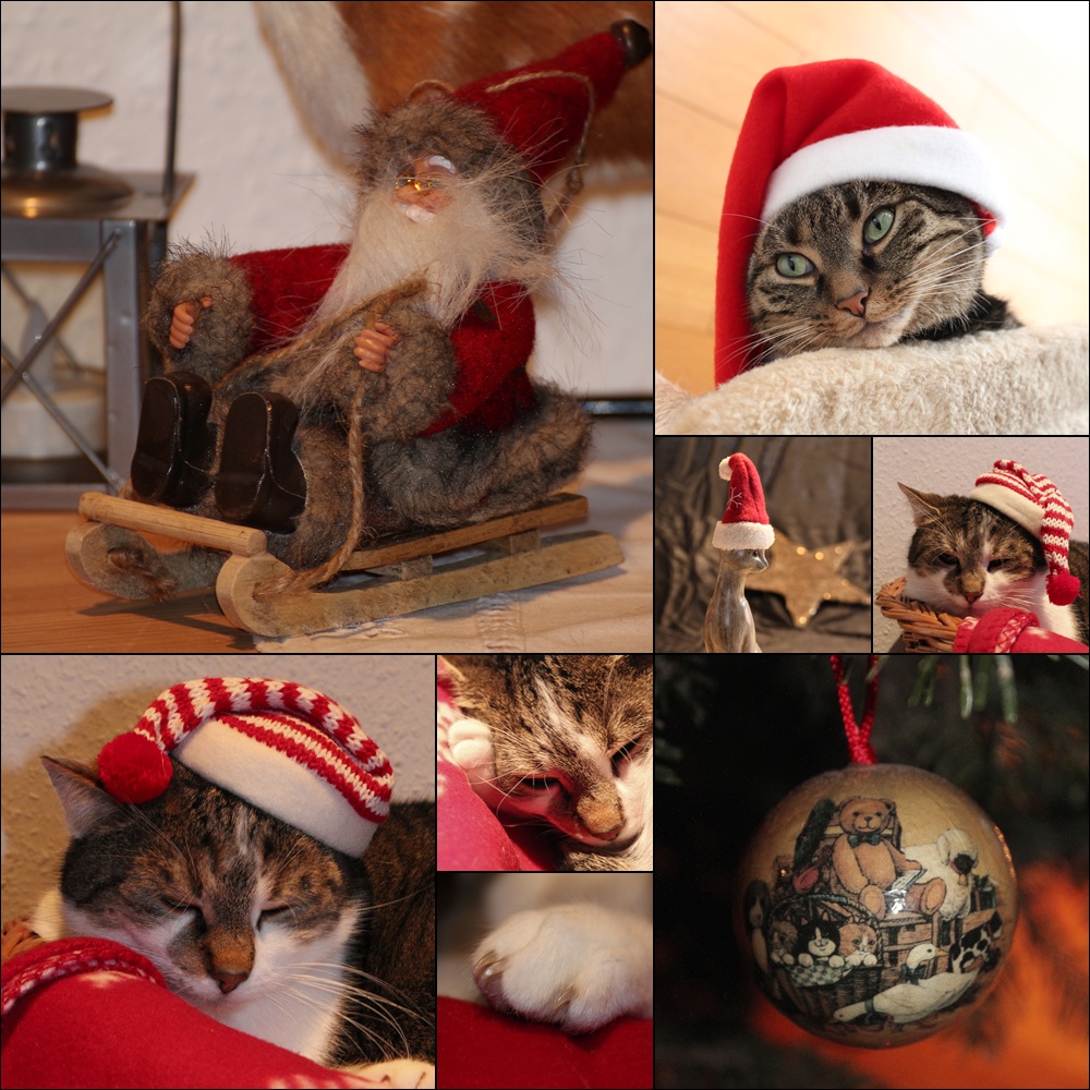 Weihnachtscollage...ala`MIEZ