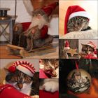 Weihnachtscollage...ala`MIEZ