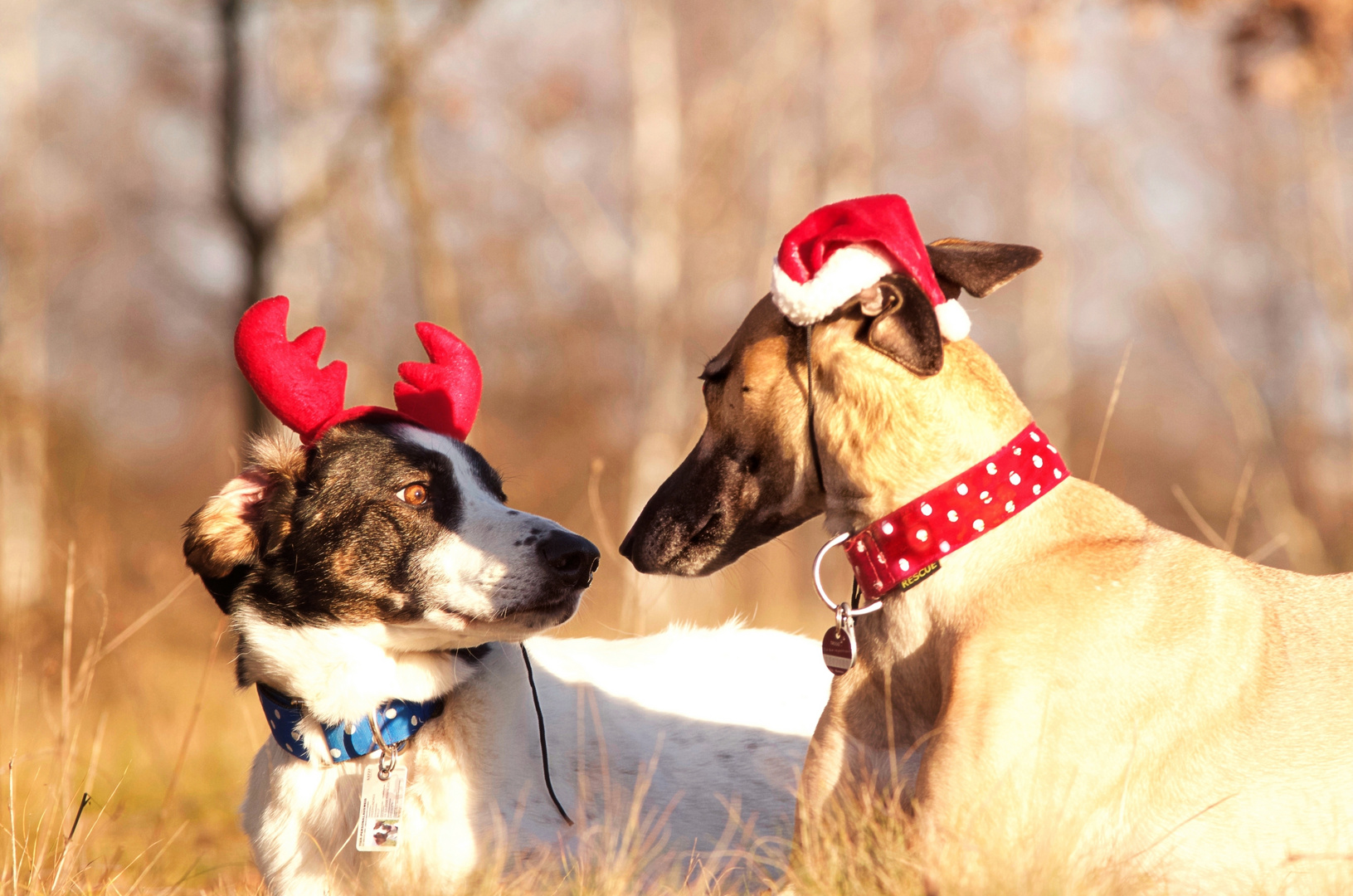 Weihnachtsdate