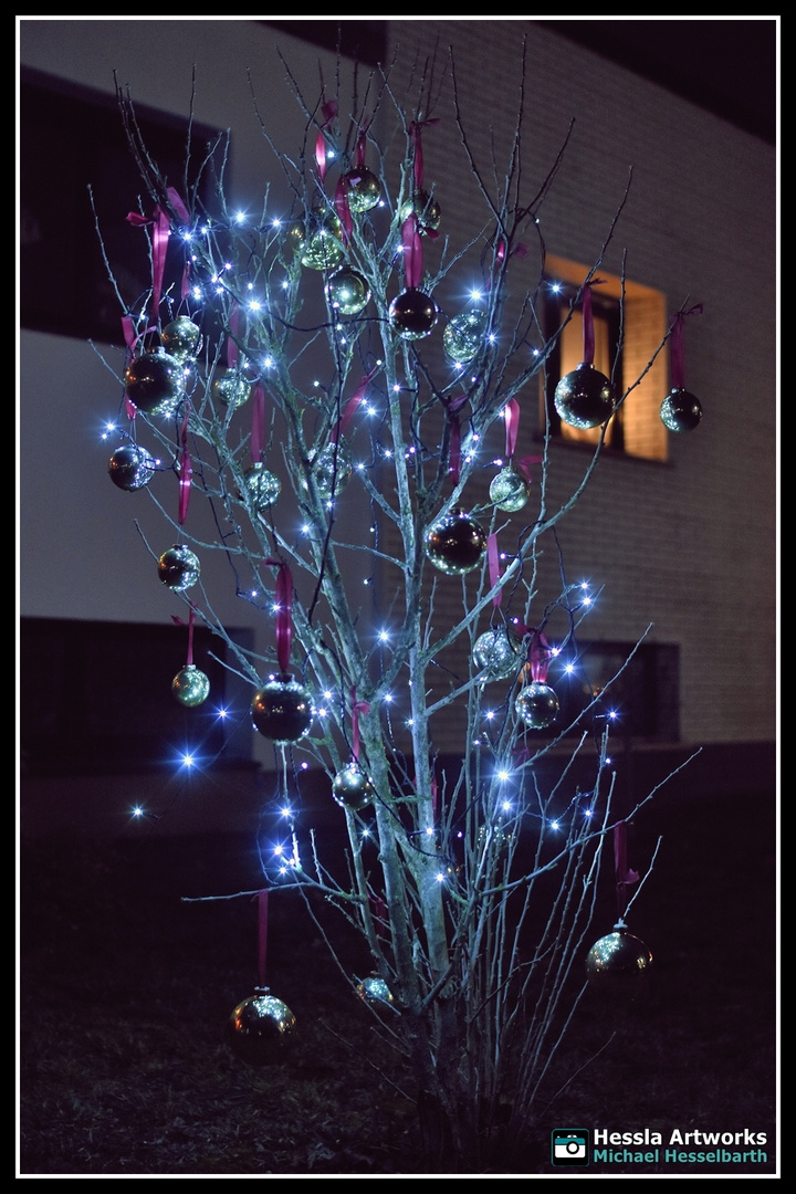 Weihnachtsdeko in der Bauhaussiedlung, Dessau-Törten