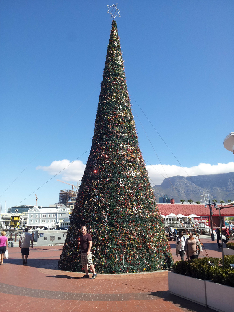 Weihnachtsdeko in Kapstadt bei 30°C