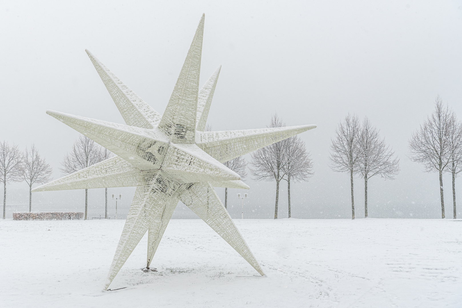 Weihnachtsdeko in Stralsund