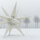 Weihnachtsdeko in Stralsund