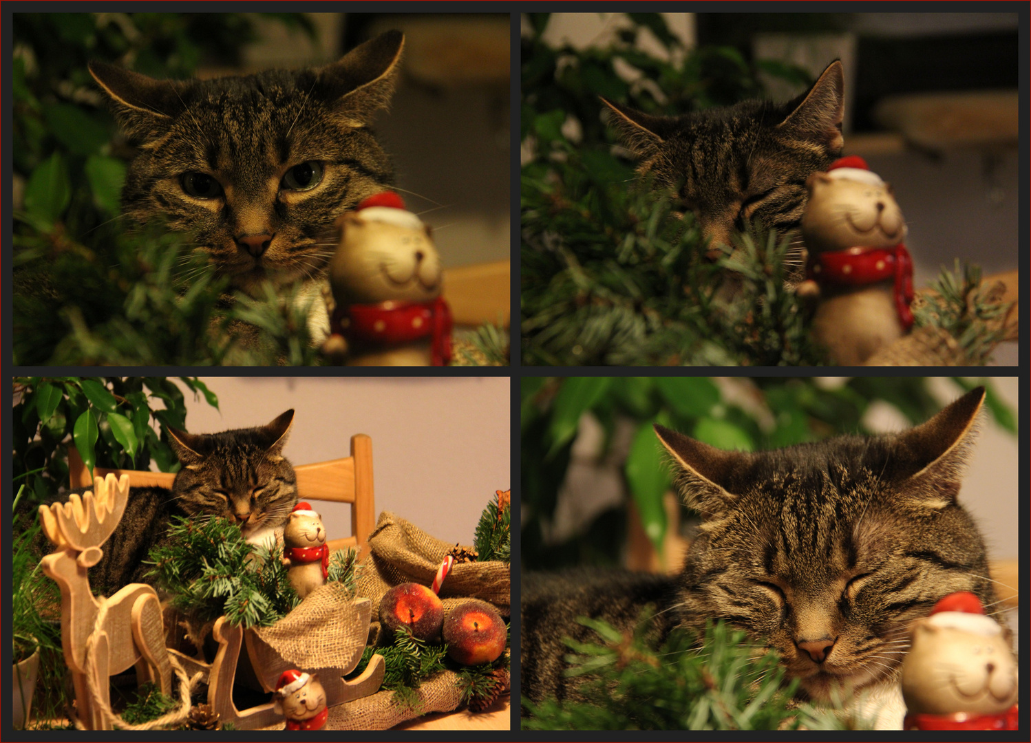 Weihnachtsdekokater...........:-)