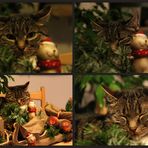 Weihnachtsdekokater...........:-)