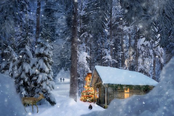 Weihnachten / Christmas Bilder & Fotos