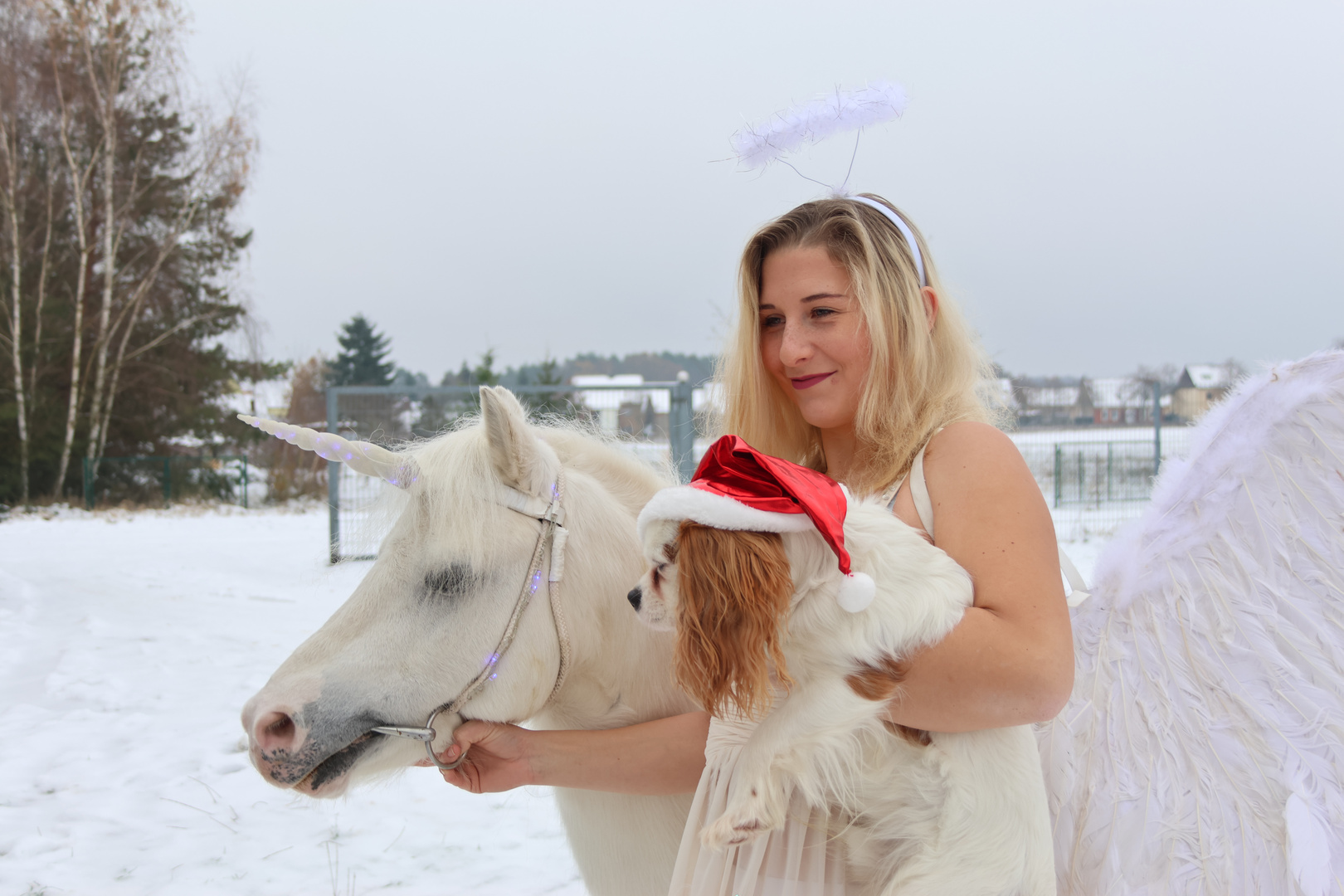 Weihnachtsengel