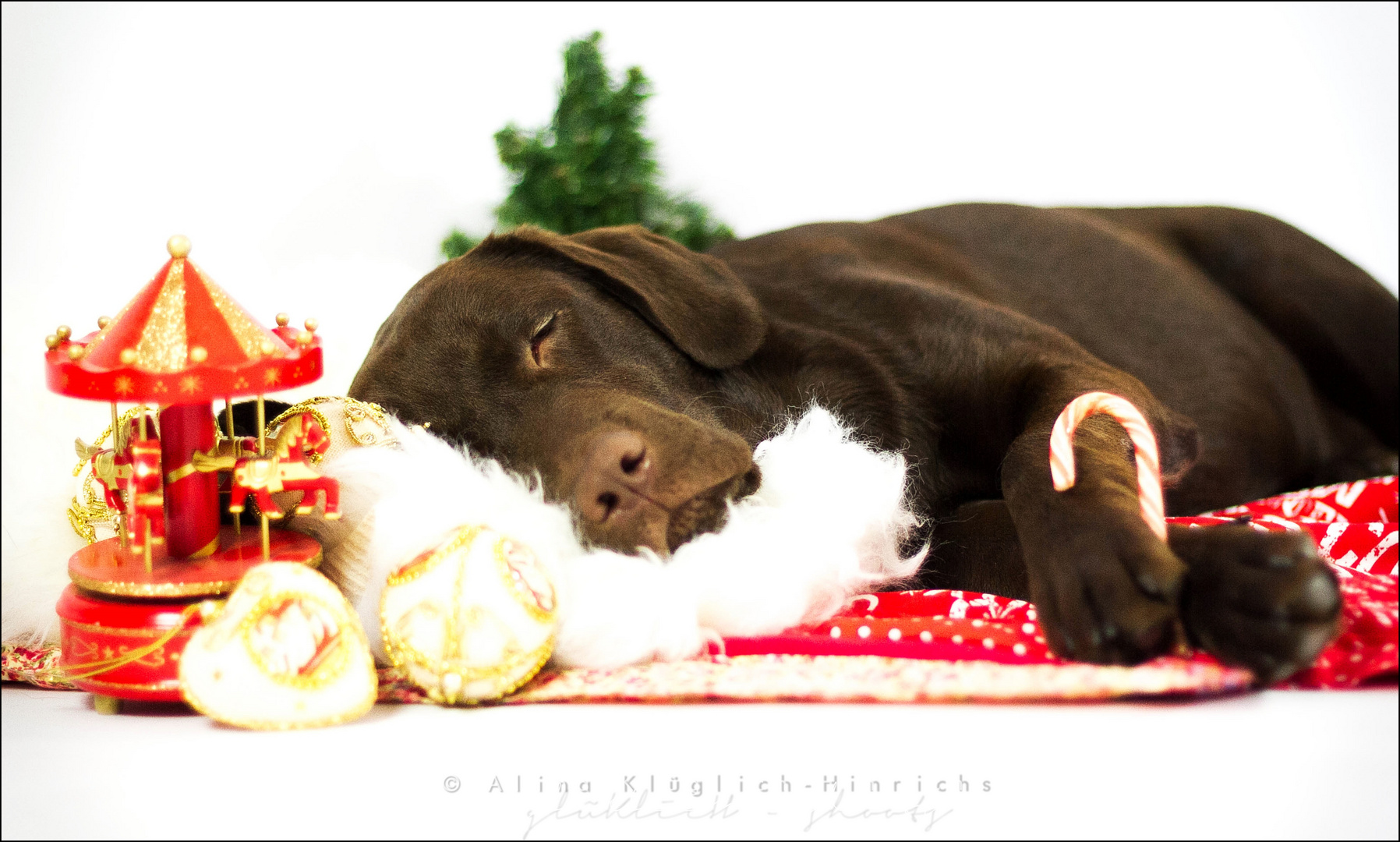 Weihnachtsengel