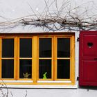 Weihnachtsengel trifft Osterhase