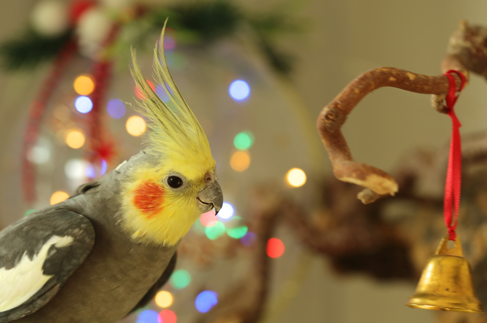 Weihnachtsengelchen Charlie