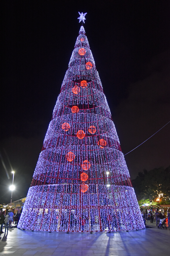 Weihnachtsflair in Funchal auf Madeira (2)