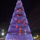 Weihnachtsflair in Funchal auf Madeira (2)