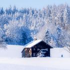 Weihnachtsfrieden