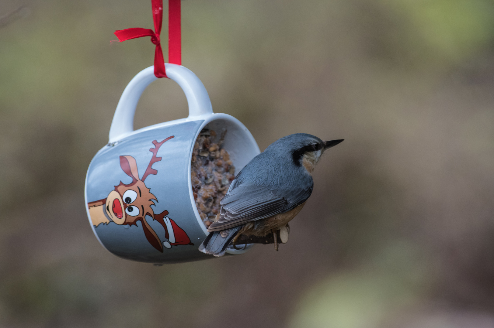 Weihnachtsfrühstück bei Rudi