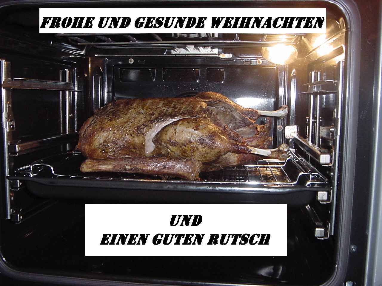 Weihnachtsgans!