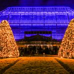 Weihnachtsgeister am Tropenhaus