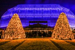 Weihnachtsgeister am Tropenhaus