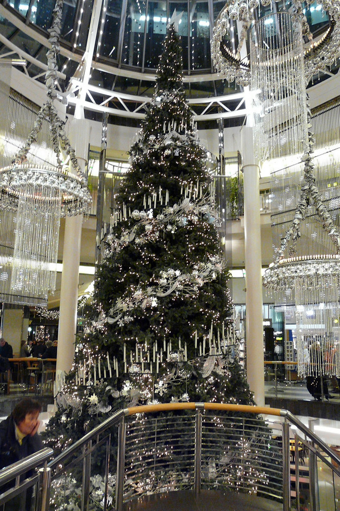 Weihnachtsglanz in den Schadowakarden