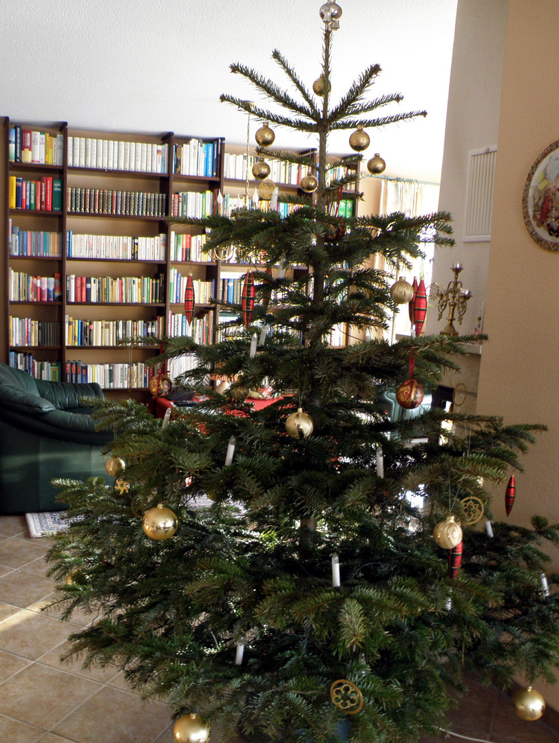 Weihnachtsgrüße 2010