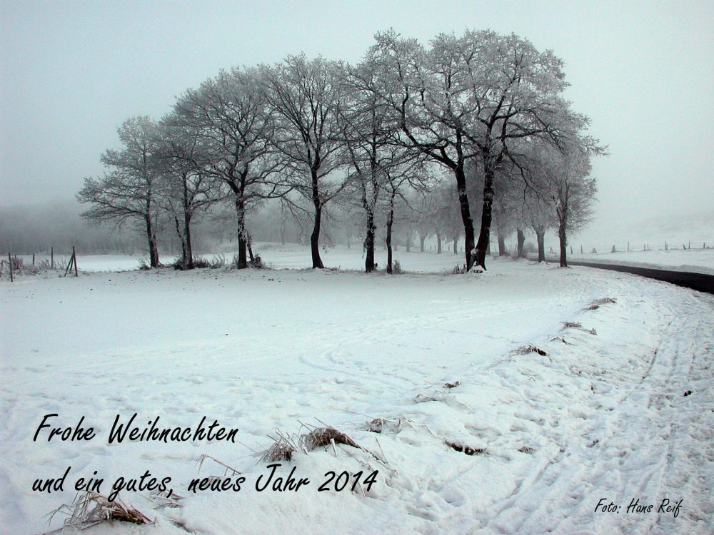 Weihnachtsgrüße 2013