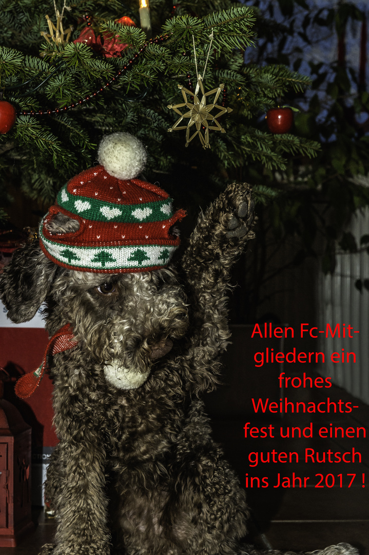 Weihnachtsgrüße 2016