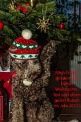 Weihnachtsgrüße 2016