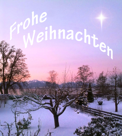 WEIHNACHTSGRÜSSE ...