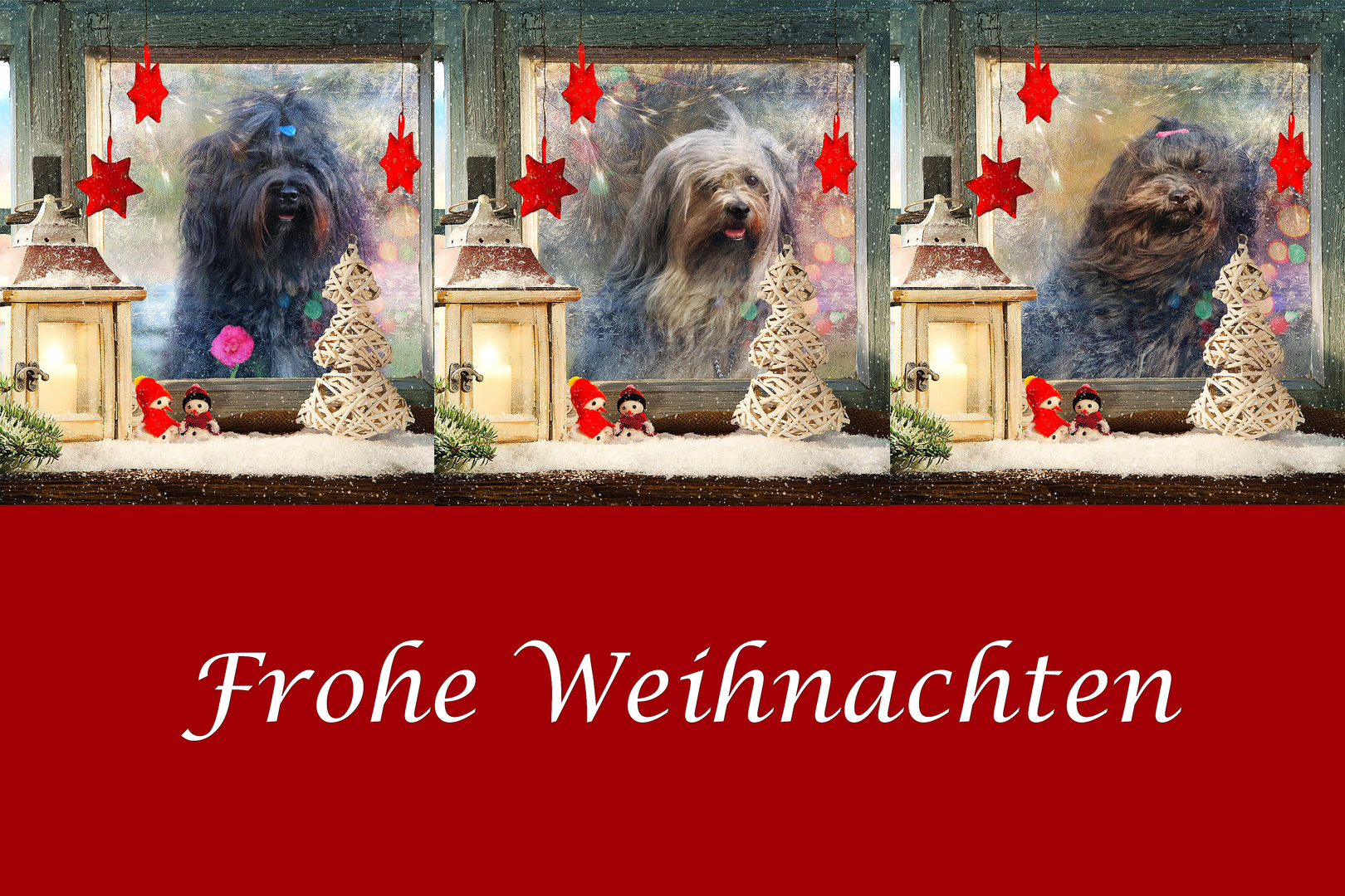 Weihnachtsgrüsse