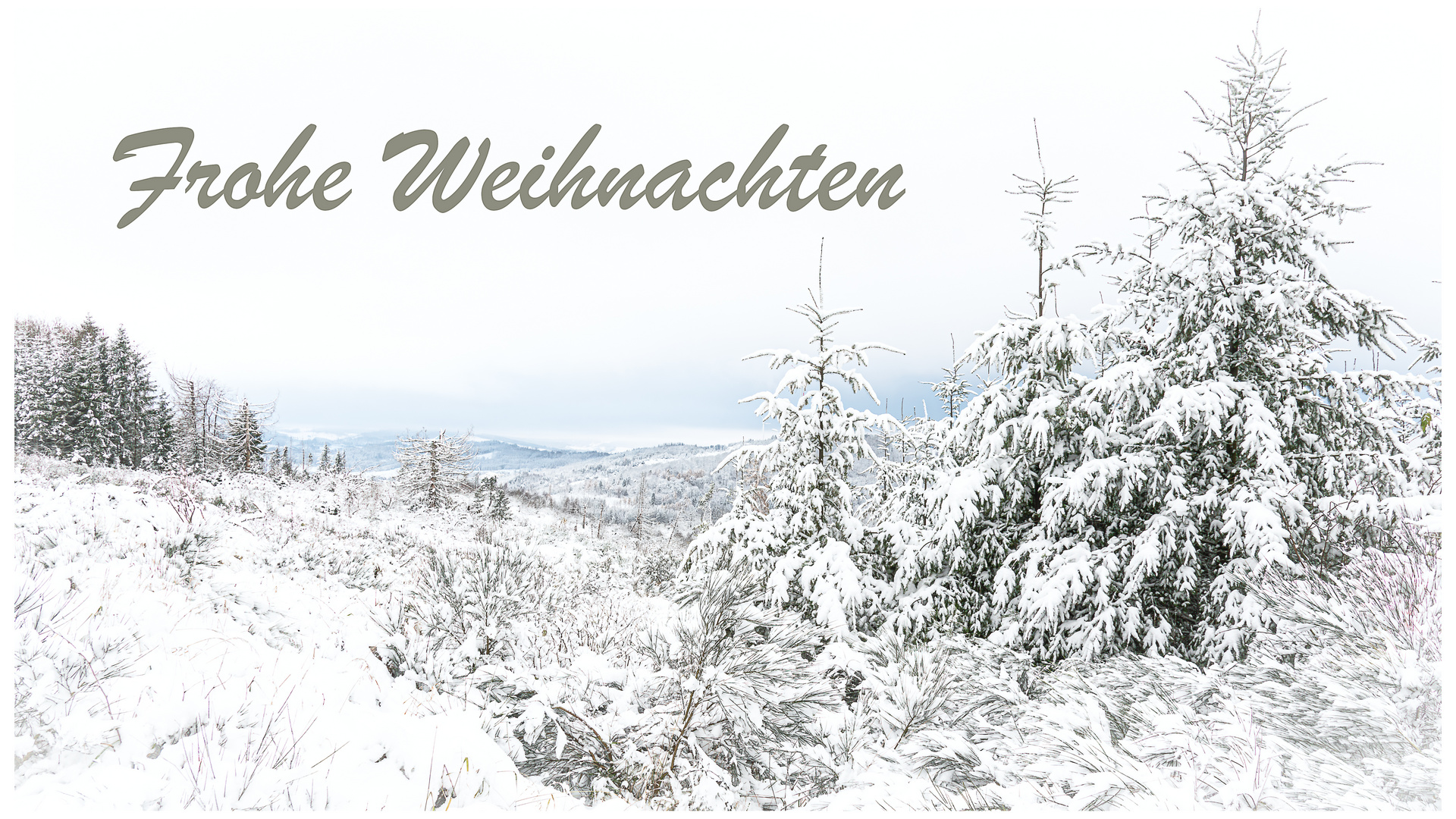 Weihnachtsgrüße